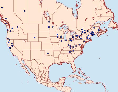 Distribution Data for Epinotia lindana