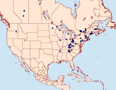 Distribution Data for Ancylis nubeculana