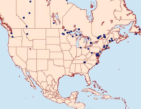 Distribution Data for Ancylis subaequana