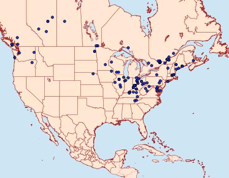 Distribution Data for Ancylis metamelana