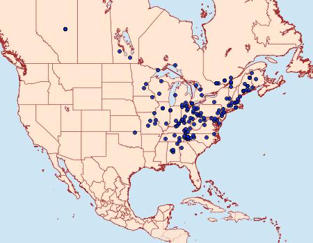 Distribution Data for Ancylis burgessiana