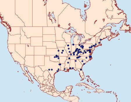 Distribution Data for Ancylis platanana