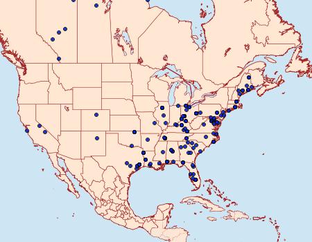 Distribution Data for Ancylis comptana of authors