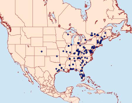 Distribution Data for Ancylis divisana