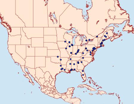 Distribution Data for Ancylis muricana