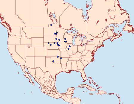 Distribution Data for Hystrichophora taleana