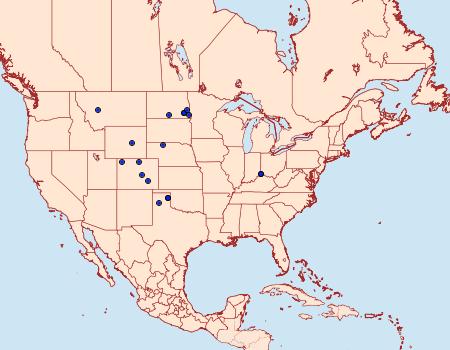 Distribution Data for Hystrichophora ochreicostana