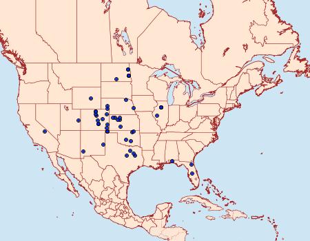 Distribution Data for Hystrichophora vestaliana