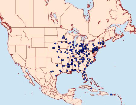 Distribution Data for Acrolophus arcanella