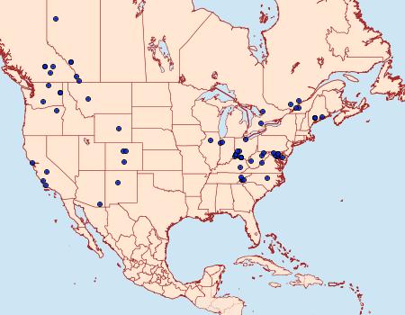 Distribution Data for Dichrorampha simulana