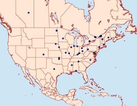 Distribution Data for Pammene felicitana