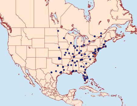 Distribution Data for Larisa subsolana