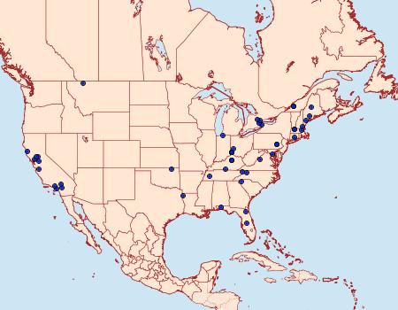 Distribution Data for Aspila molesta