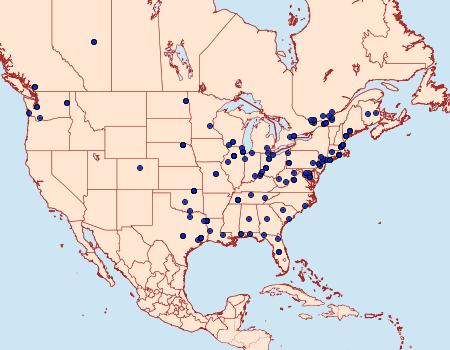 Distribution Data for Aspila packardi