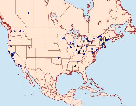 Distribution Data for Aspila prunivora