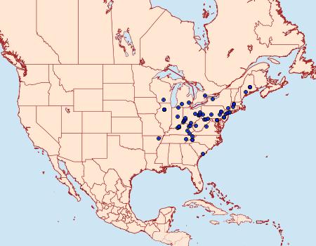 Distribution Data for Ephippiphora eclipsana