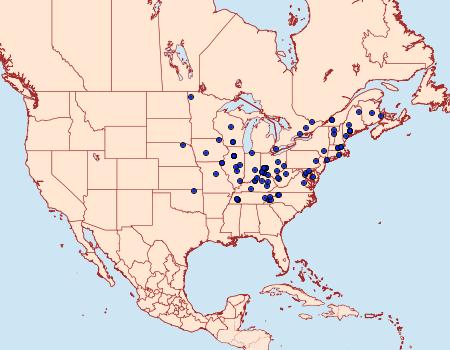 Distribution Data for Grapholita interstinctana