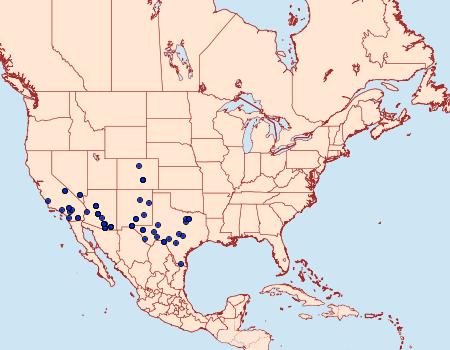 Distribution Data for Ofatulena duodecemstriata