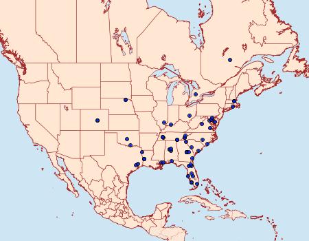 Distribution Data for Corticivora parva