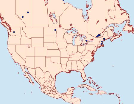 Distribution Data for Pammene perstructana