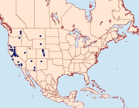 Distribution Data for Cydia piperana