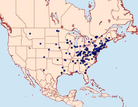 Distribution Data for Ecdytolopha insiticiana