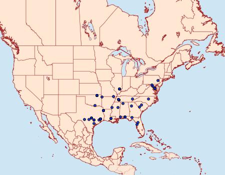 Distribution Data for Ecdytolopha mana