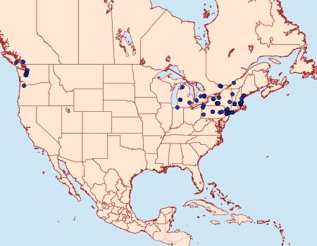 Distribution Data for Acleris forsskaleana