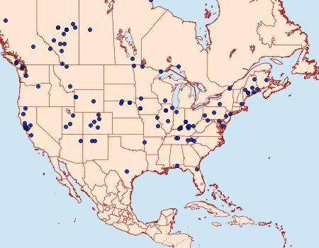 Distribution Data for Acleris albicomana