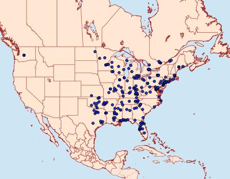 Distribution Data for Acleris semipurpurana