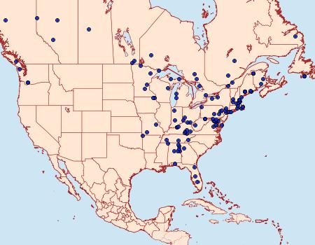 Distribution Data for Acleris curvalana