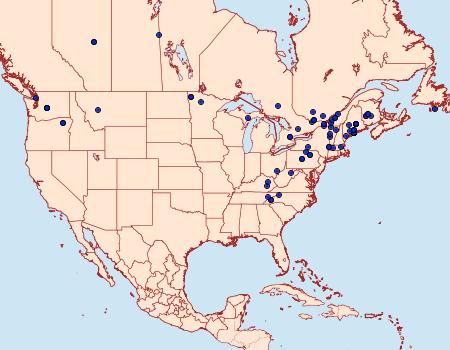 Distribution Data for Acleris macdunnoughi