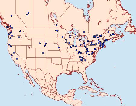 Distribution Data for Acleris nivisellana