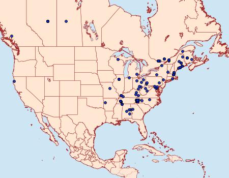 Distribution Data for Acleris cervinana