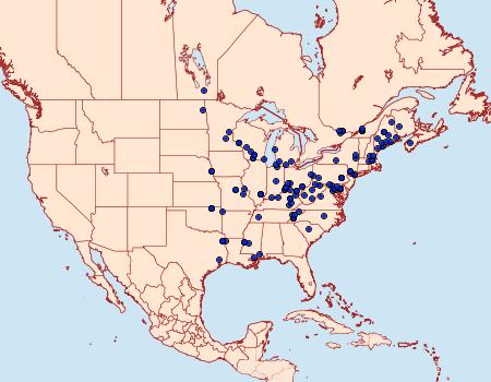 Distribution Data for Acleris subnivana