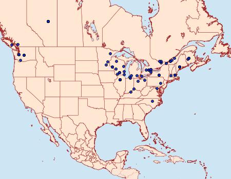 Distribution Data for Acleris cornana