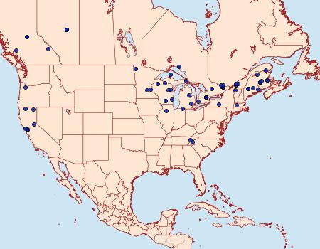 Distribution Data for Acleris forbesana