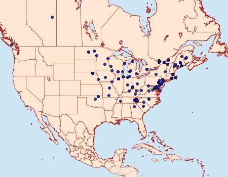 Distribution Data for Acleris viburnana