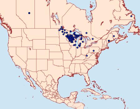 Distribution Data for Acleris oxycoccana