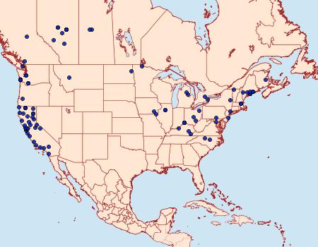 Distribution Data for Acleris pulverosana