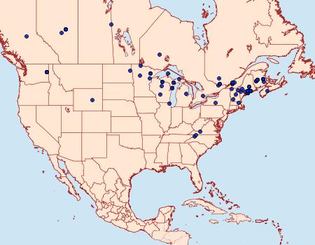 Distribution Data for Acleris celiana