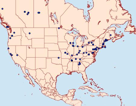 Distribution Data for Acleris robinsoniana