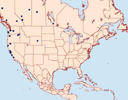 Distribution Data for Acleris britannia