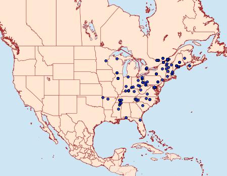 Distribution Data for Acleris chalybeana