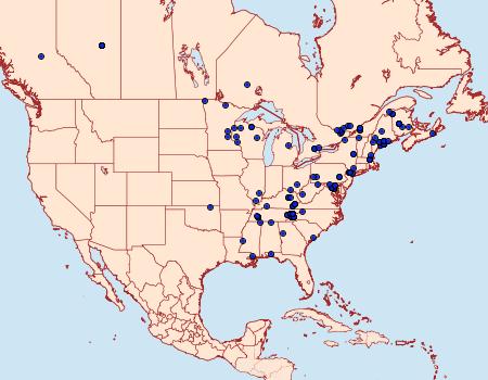 Distribution Data for Acleris placidana