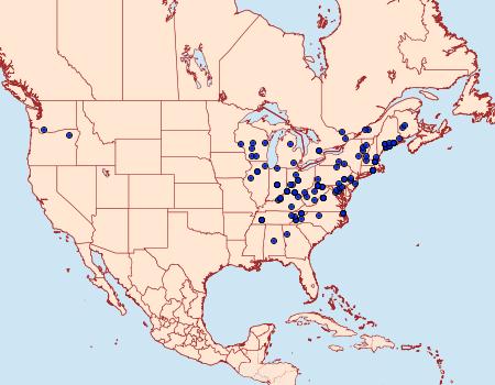 Distribution Data for Acleris flavivittana