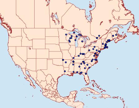 Distribution Data for Acleris maculidorsana