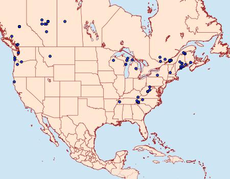 Distribution Data for Acleris maccana