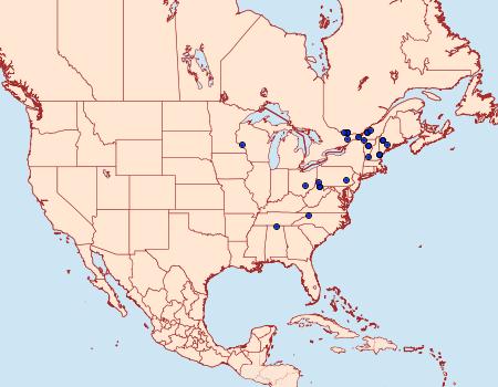 Distribution Data for Acleris youngana