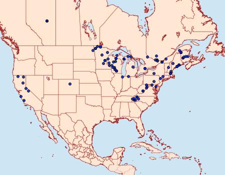 Distribution Data for Acleris nigrolinea